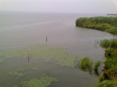 阳澄湖