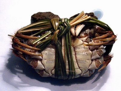 阳澄湖大闸蟹